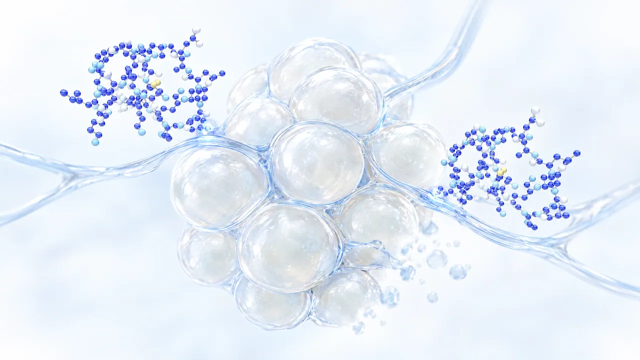 Cluster of pale glass spheres as fat cells, laced with fine glass vessels that two blue molecules dock onto