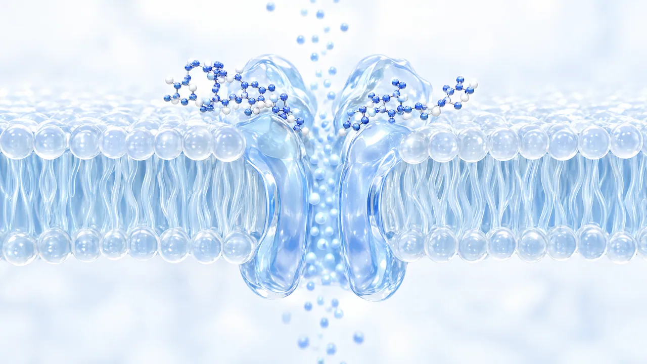 Glassy cell membrane with an open channel through which small particles flow, blue molecules beside it