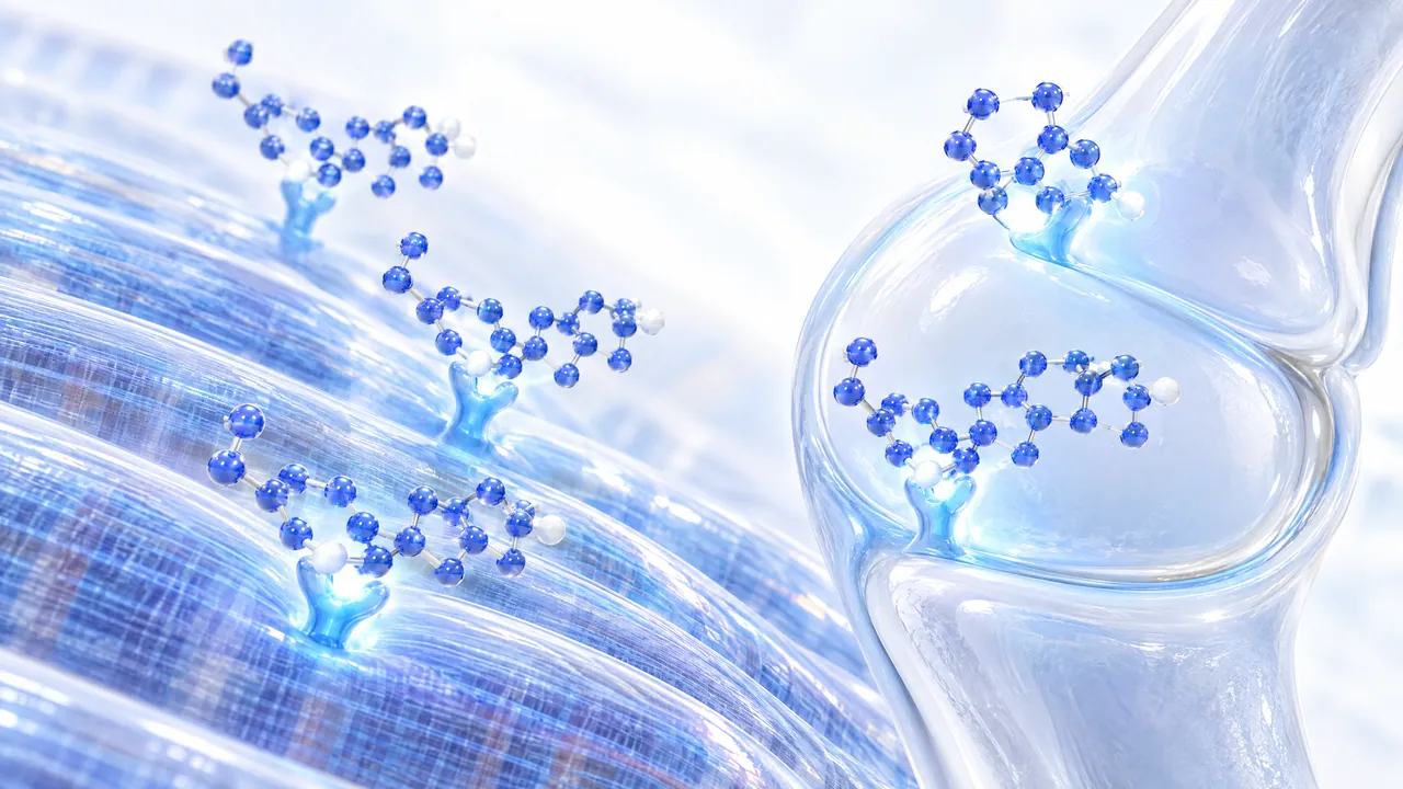 Glossy blue 3D steroid molecules dock onto glowing binding sites on light blue muscle fibres, a transparent joint on the right