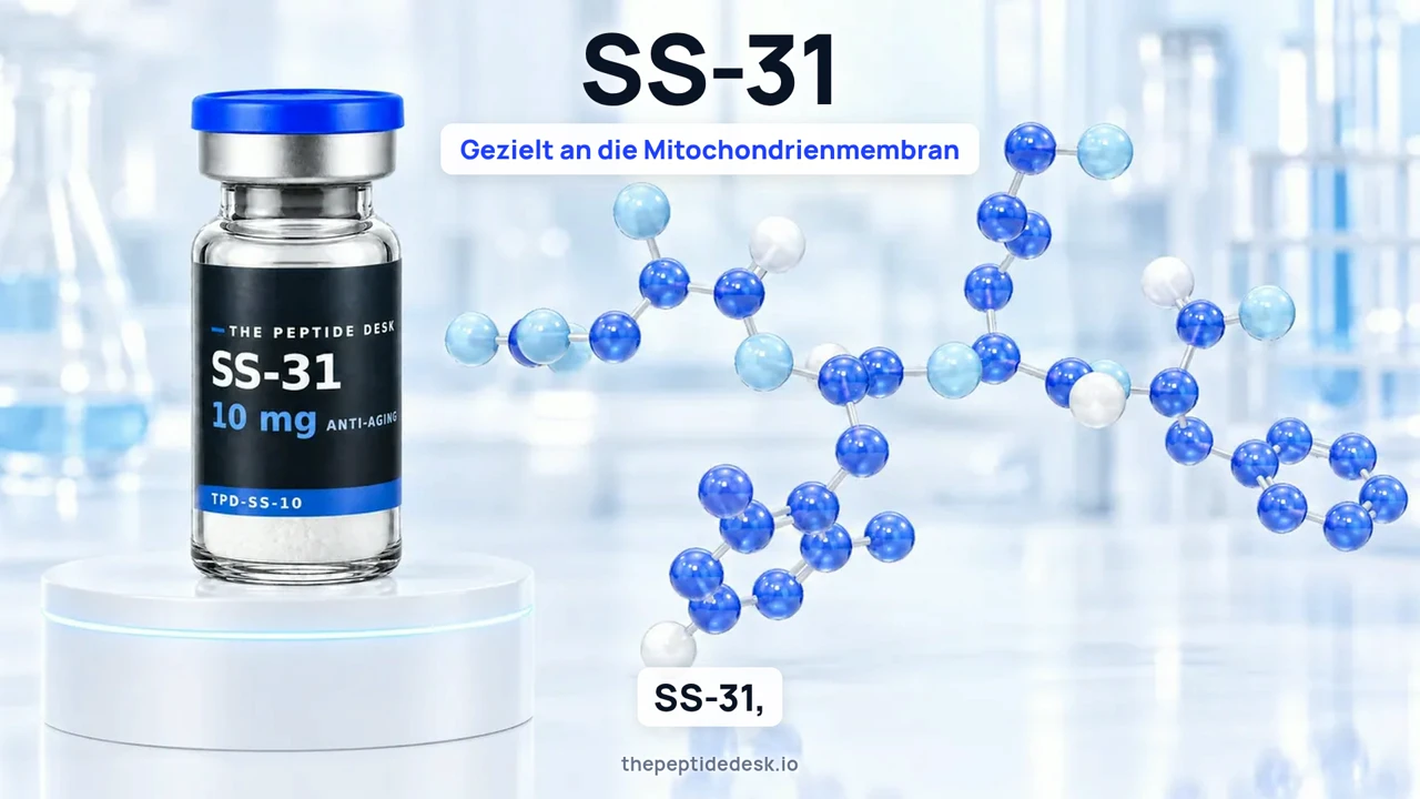 Standbild aus dem Erklärvideo zu diesem Eintrag